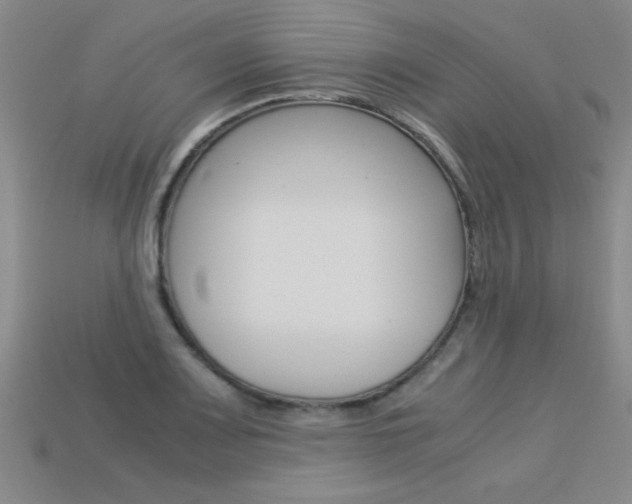 X0000113351083200909151021
