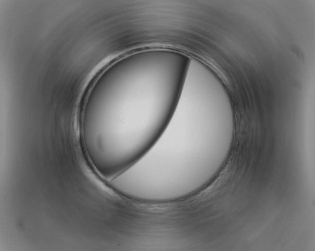 X0000113351084200909151021