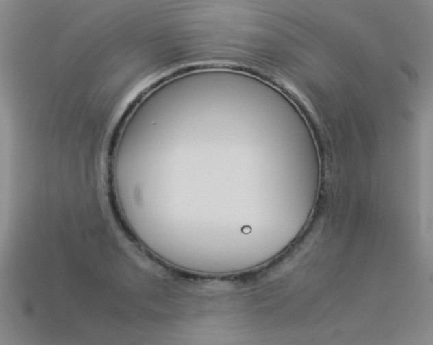 X0000113351085200909151021