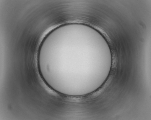 X0000113351086200909151021