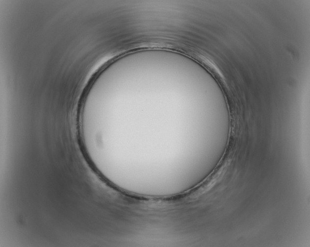 X0000113351087200909151021