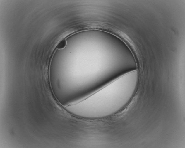 X0000113351089200909151021