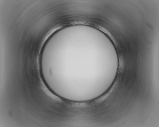 X0000113351090200909151021