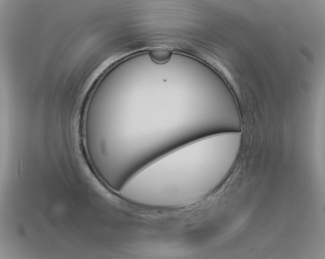 X0000113351091200909151021