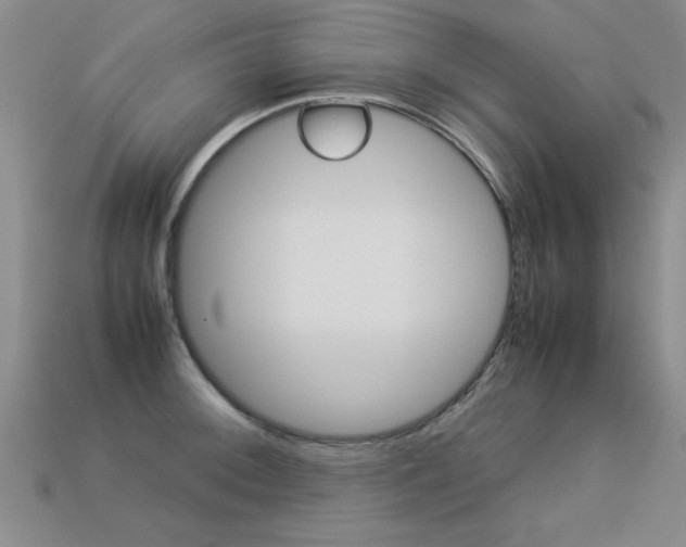 X0000113351092200909151021
