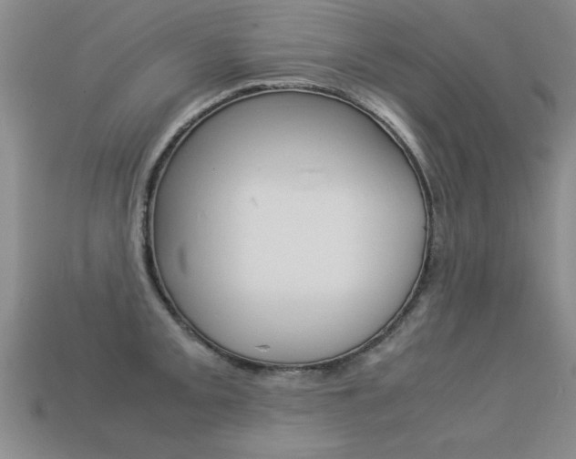 X0000113351093200909151021
