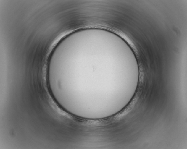 X0000113351094200909151021
