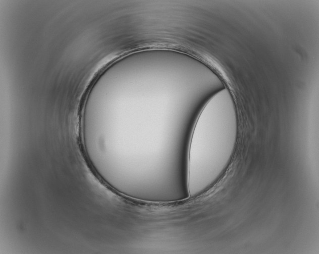 X0000113351095200909151021