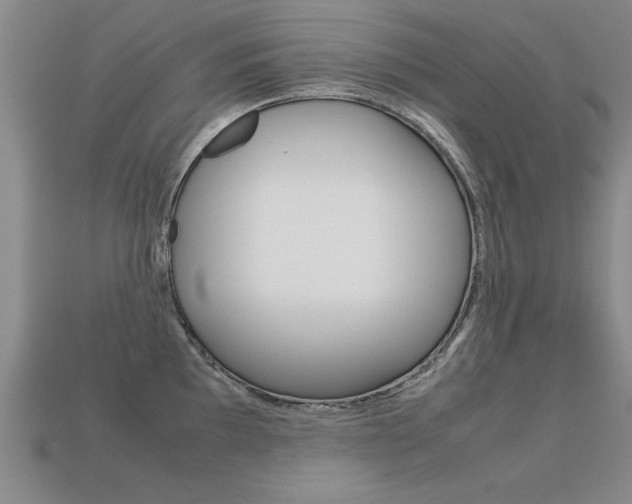 X0000113351097200909151021