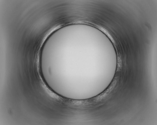X0000113351098200909151021