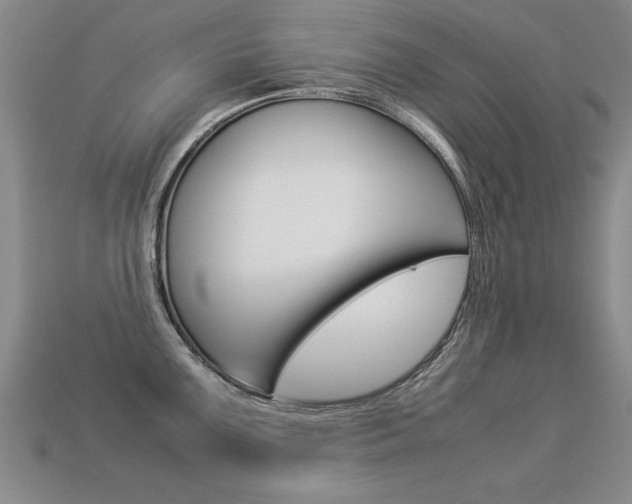 X0000113351099200909151021