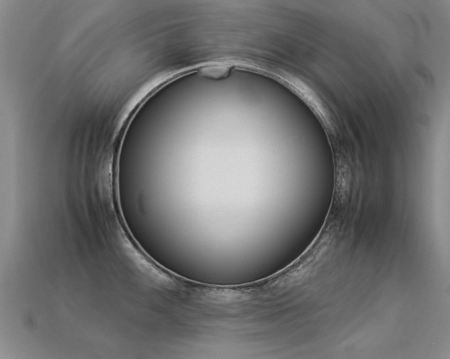 X0000113351100200909151021