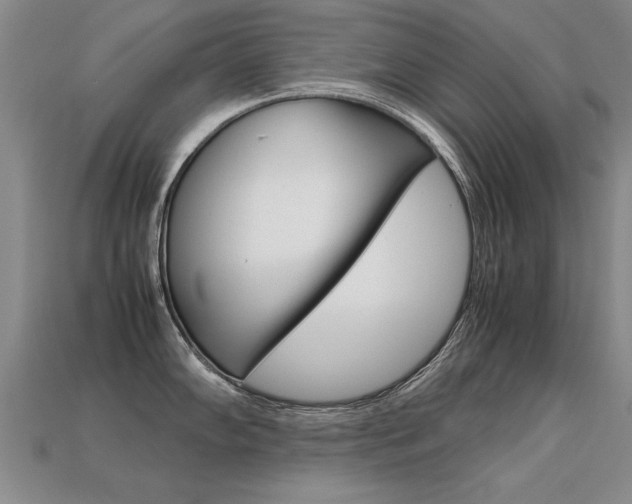 X0000113351102200909151021