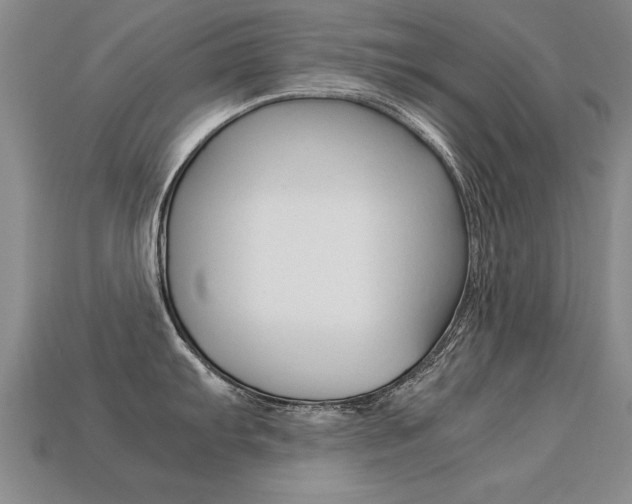 X0000113351103200909151021