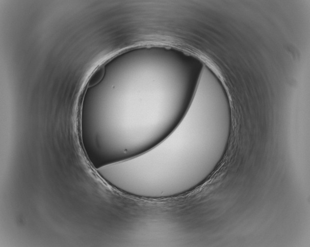 X0000113351104200909151021