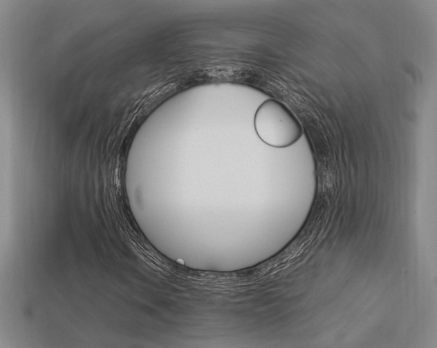 X0000113351106200909151020