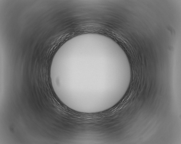 X0000113351108200909151020
