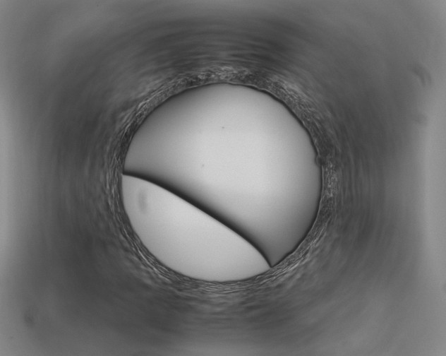 X0000113351109200909151020
