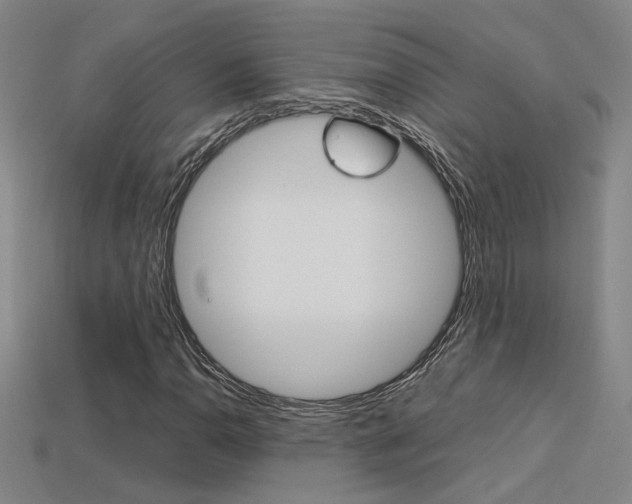 X0000113351110200909151020