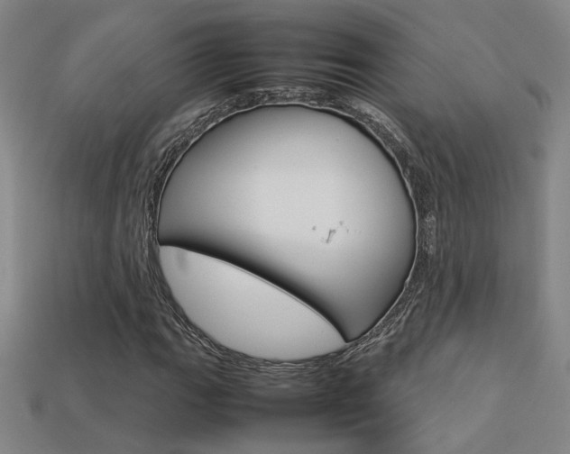 X0000113351111200909151020