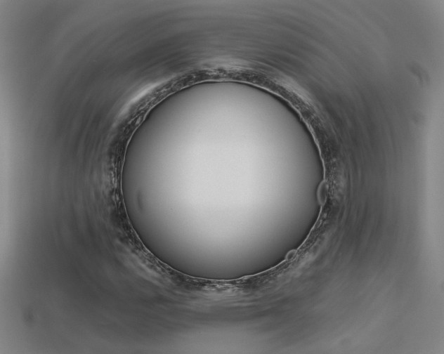 X0000113351112200909151020