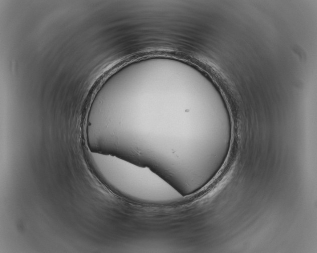 X0000113351113200909151020
