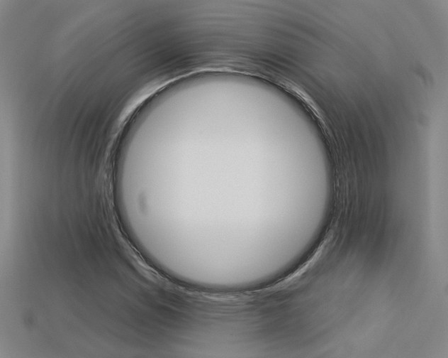 X0000113351114200909151021