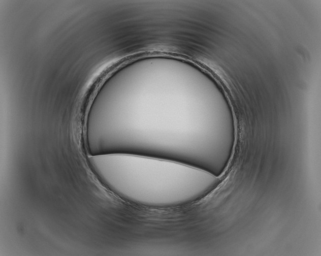 X0000113351115200909151021