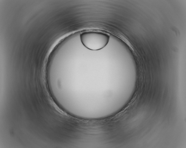 X0000113351116200909151021