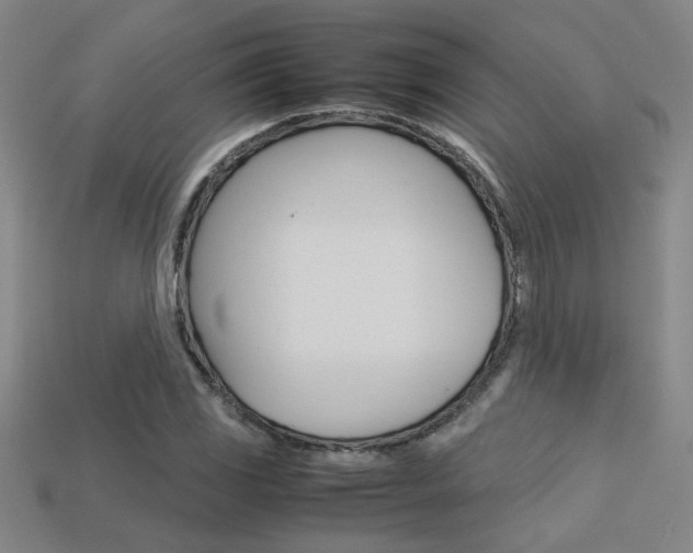 X0000113351117200909151021