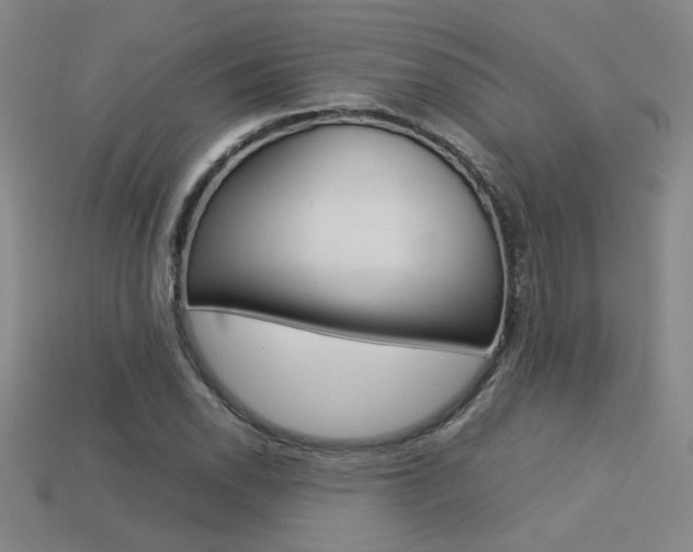 X0000113351118200909151021