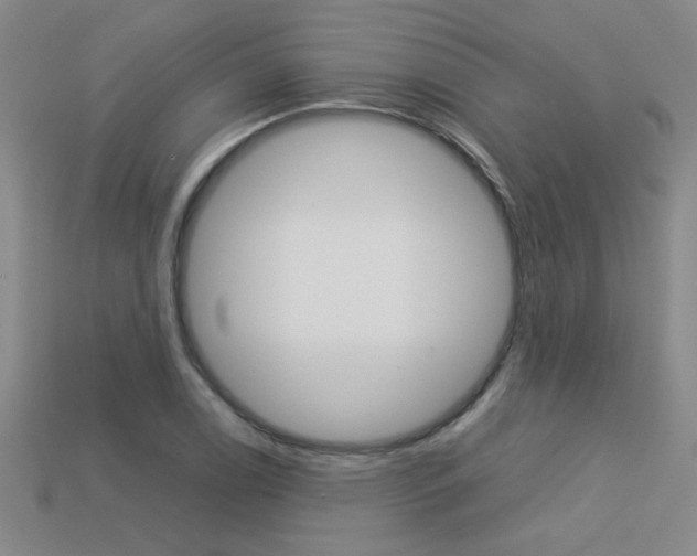 X0000113351122200909151021
