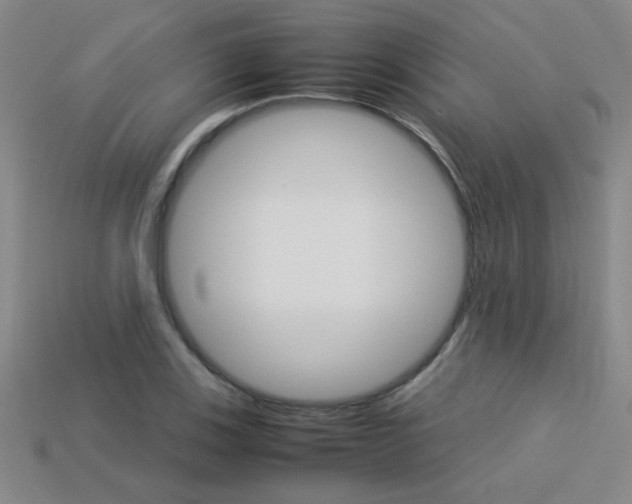 X0000113351123200909151021