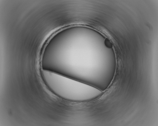 X0000113351124200909151021