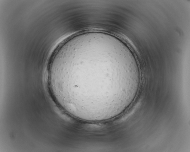 X0000113351125200909151021