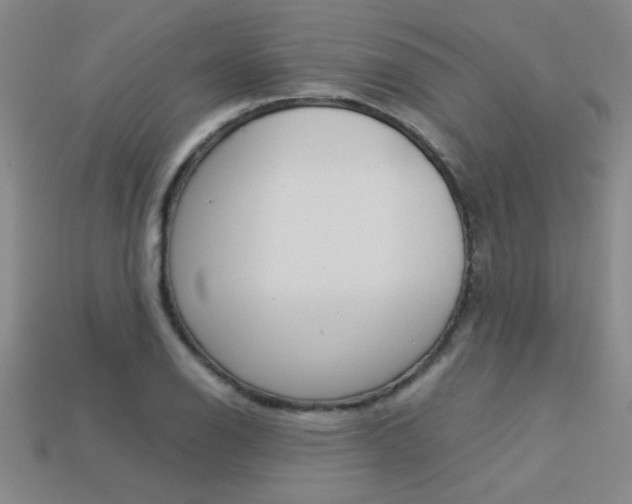 X0000113351126200909151021