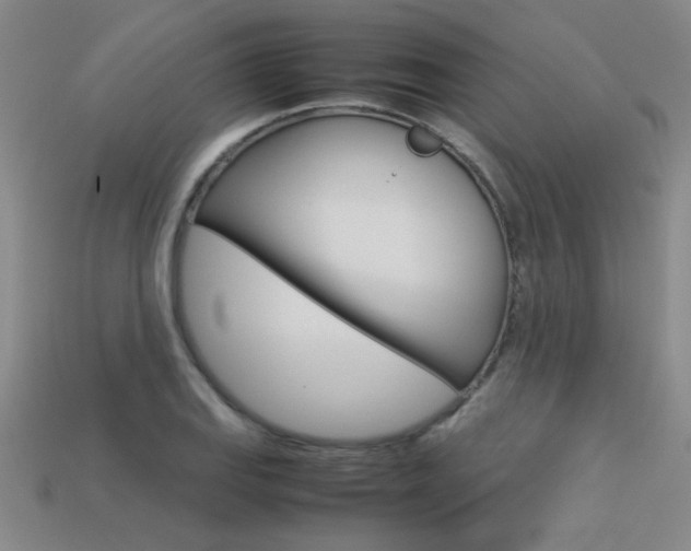 X0000113351127200909151021