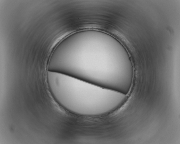 X0000113351129200909151021