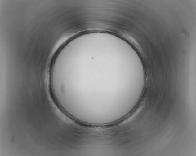 X0000113351130200909151021