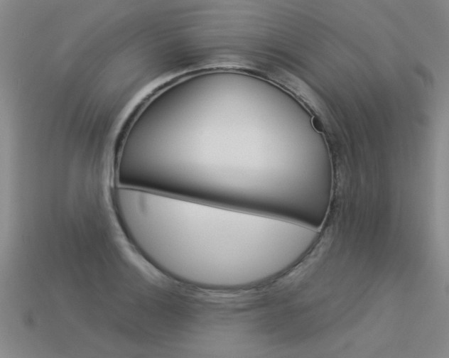 X0000113351132200909151021