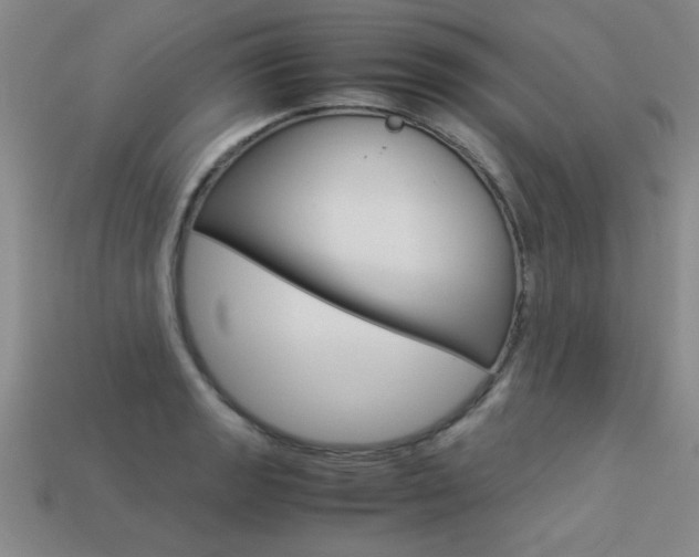 X0000113351133200909151021