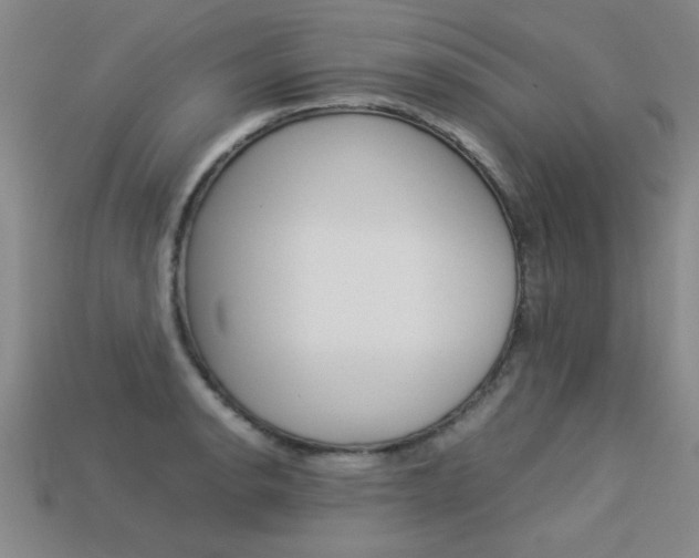 X0000113351134200909151021