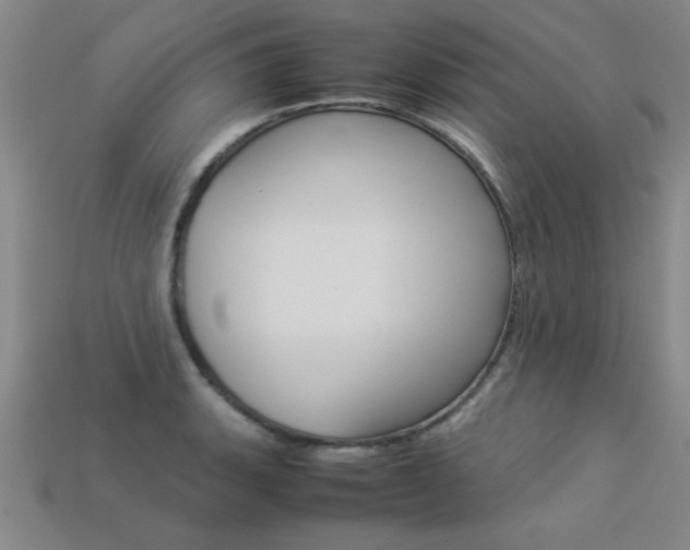 X0000113351135200909151021