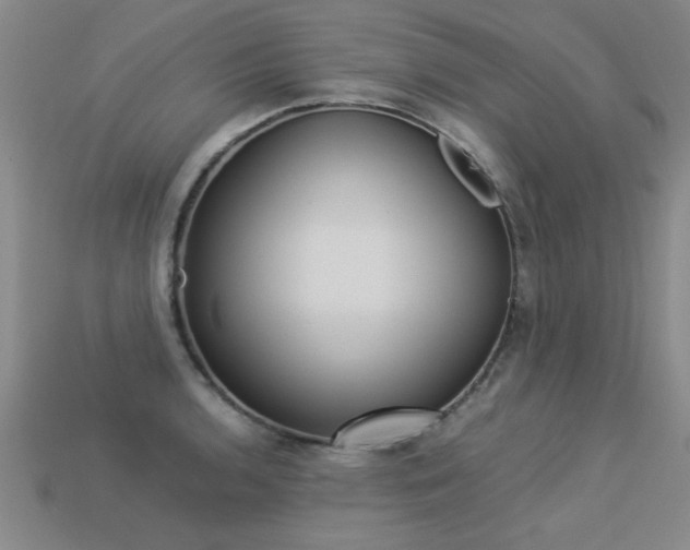 X0000113351136200909151021