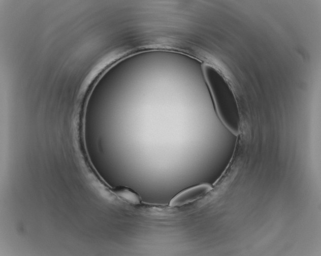 X0000113351138200909151021