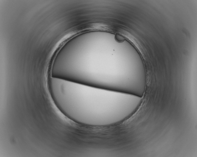 X0000113351139200909151021