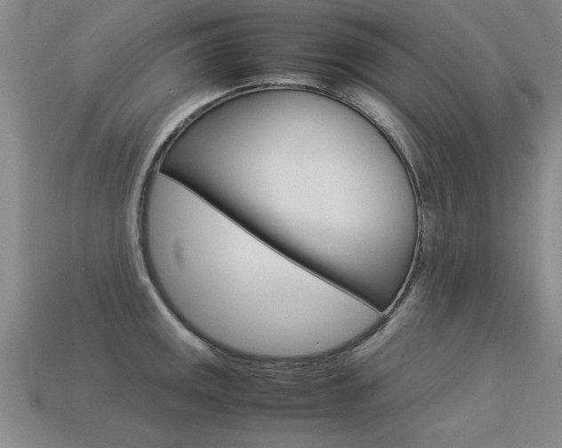 X0000113351141200909151021