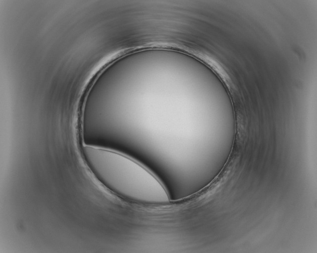 X0000113351142200909151021