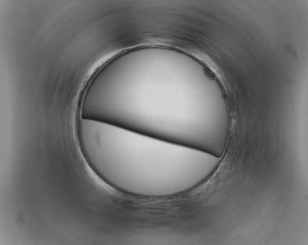 X0000113351143200909151021