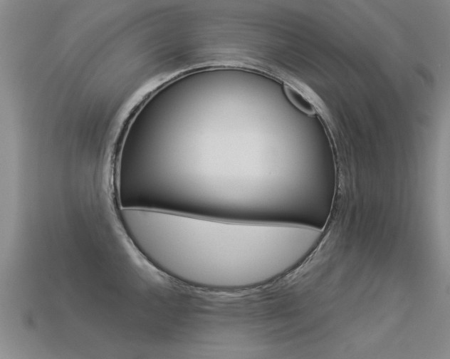 X0000113351144200909151021